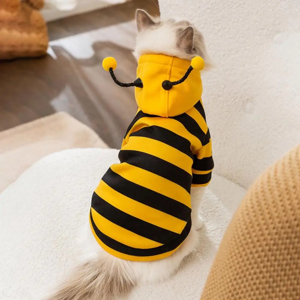 Winter Clothing For Dogs - Pet Cats Clothes Kitten Stuff Dog