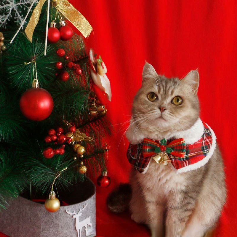 Winter Clothing For Dogs - Cat Christmas Cloak Pet New Year