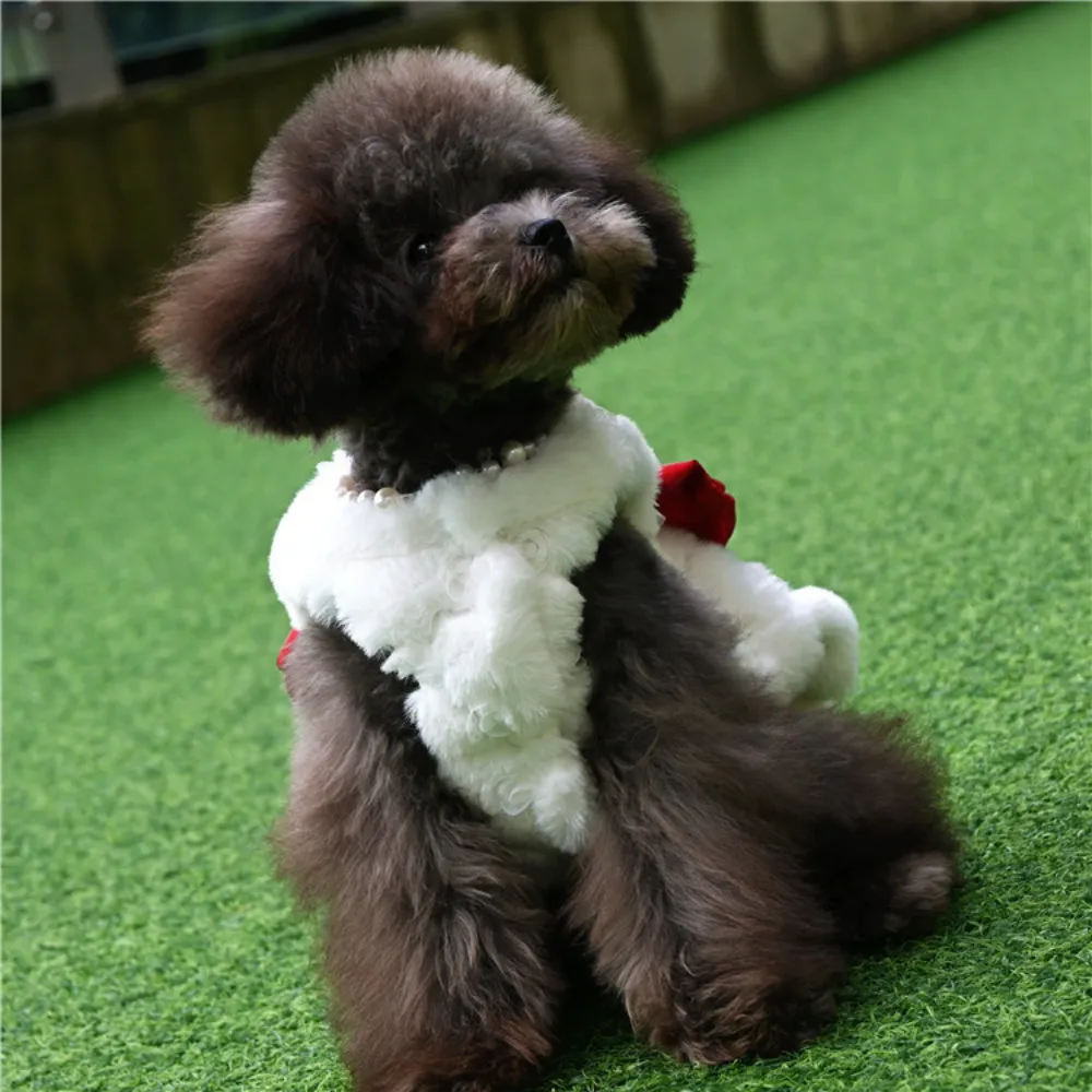Winter Clothing For Dogs - Pet Rabbit Fur Dress Clothes Cute