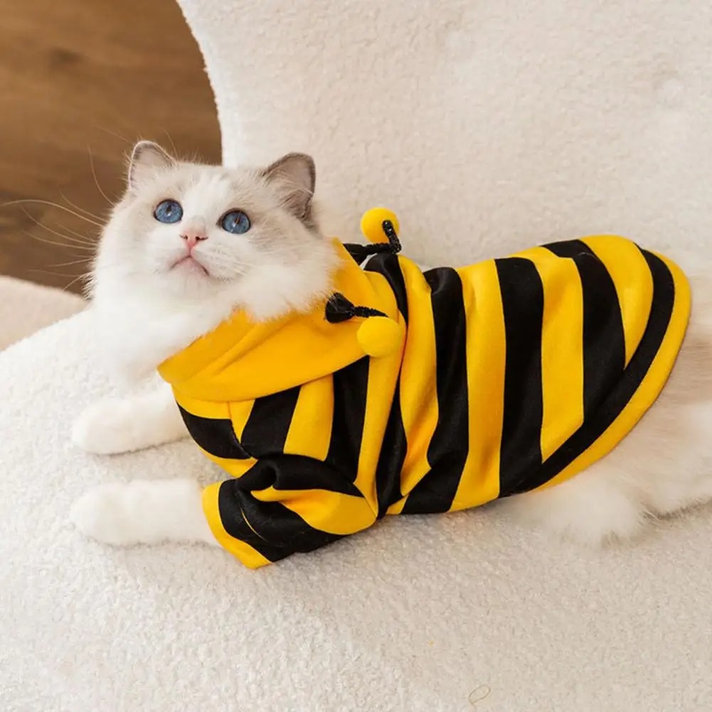 Pet Cats Clothes Kitten Stuff  - Winter Clothing For Dogs recension och pris