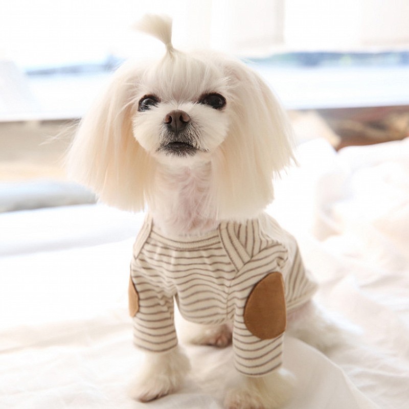 Thin Pet Dog Hoodies Fleece Do - Winter Clothing For Dogs recension och pris