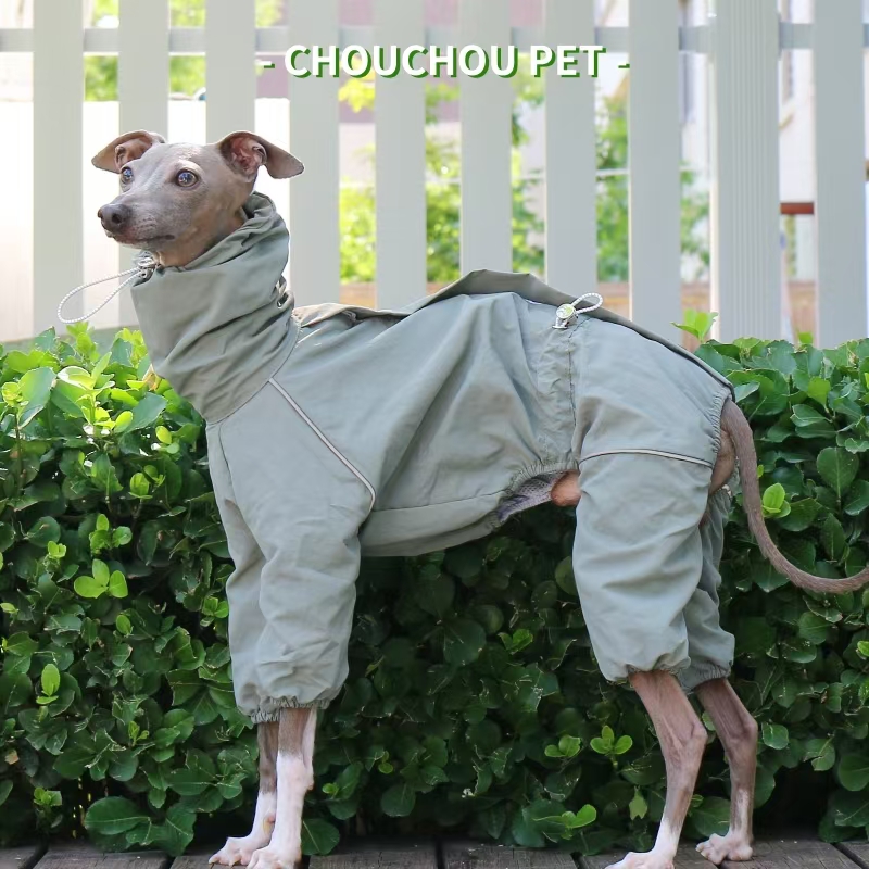 Italian Greyhound Raincoat Aut - Winter Clothing For Dogs recension och pris