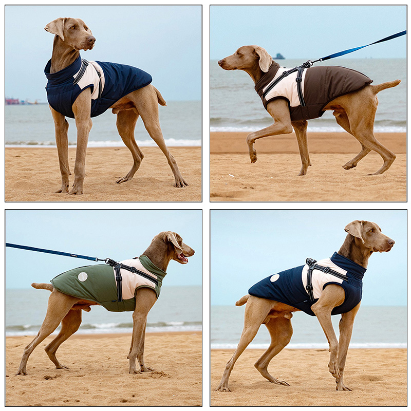 Warm Dog Vest With Built-in Ha - Winter Clothing For Dogs recension och pris