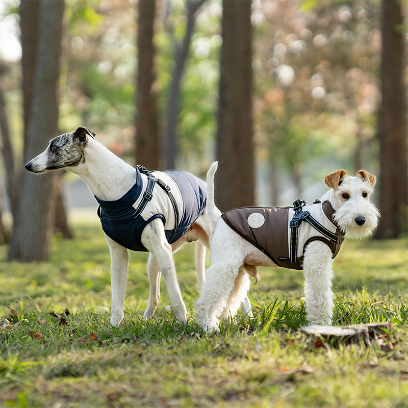Warm Dog Vest With Built-in Ha - Winter Clothing For Dogs recension och pris