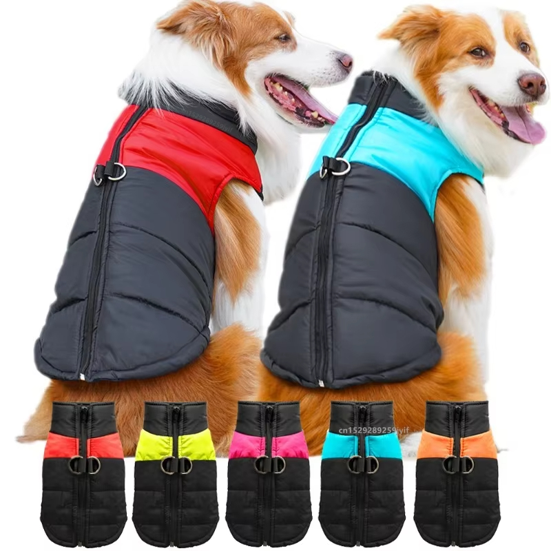 Dog Clothes for Autumn and Win - Winter Clothing For Dogs recension och pris