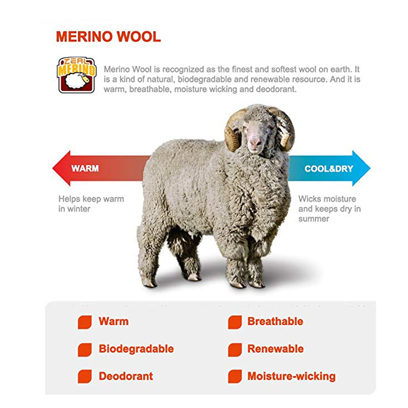 ZEALWOOD Hiking Trekking Men's - Thermal Sock Merino recension och pris