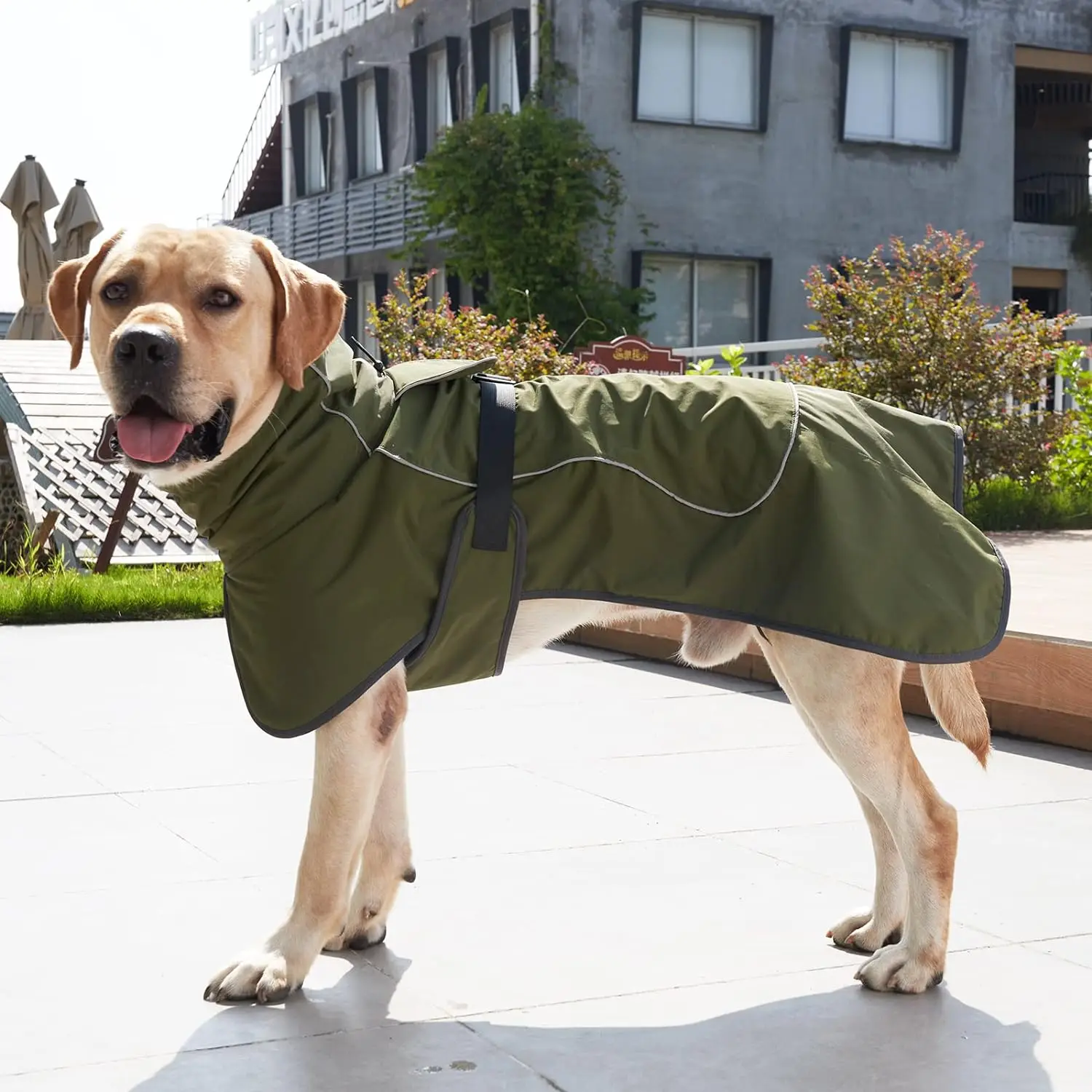 Winter Clothes for Dogs Windpr - Winter Clothing For Dogs recension och pris