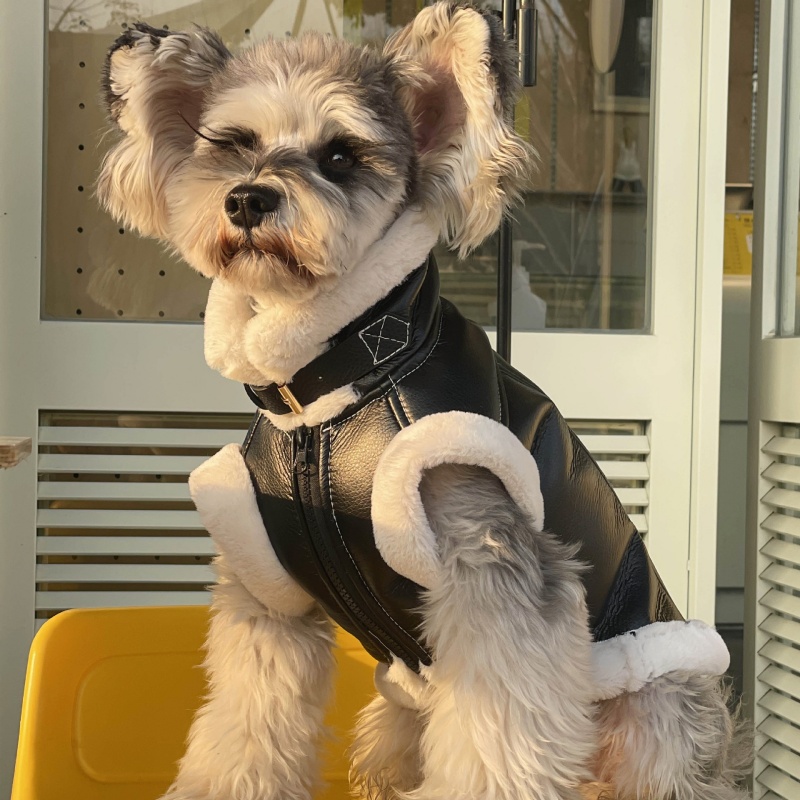 Pet Autumn Winter Velvet Sleev - Winter Clothing For Dogs recension och pris