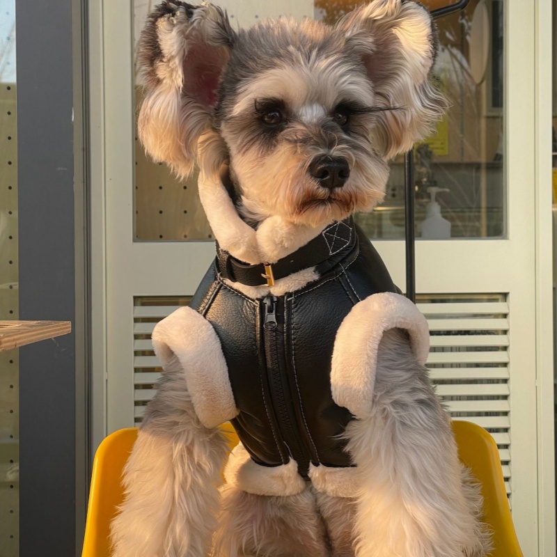 Pet Autumn Winter Velvet Sleev - Winter Clothing For Dogs recension och pris