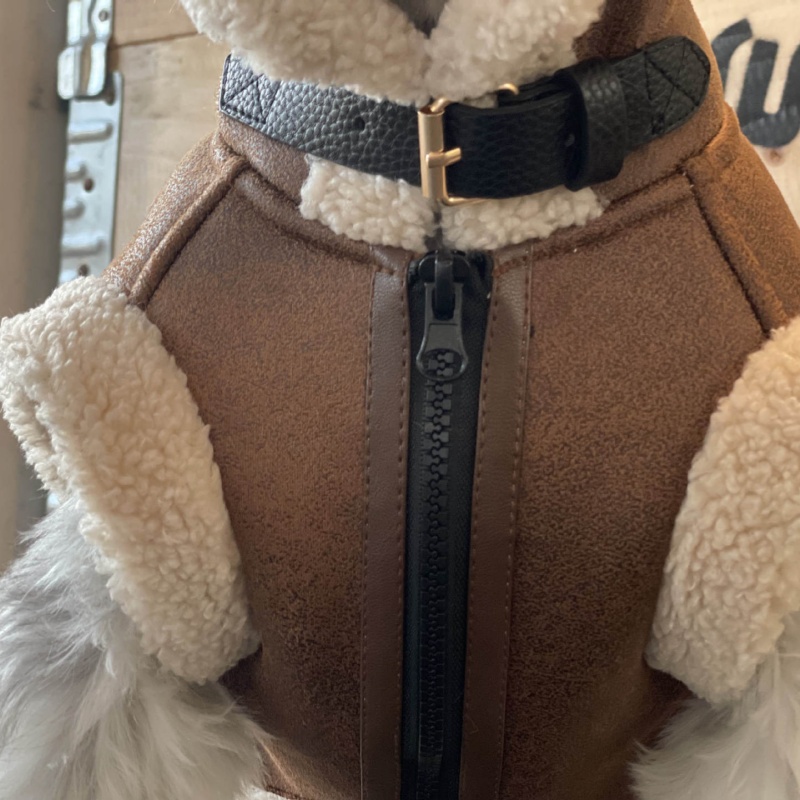 Pet Autumn Winter Velvet Sleev - Winter Clothing For Dogs recension och pris